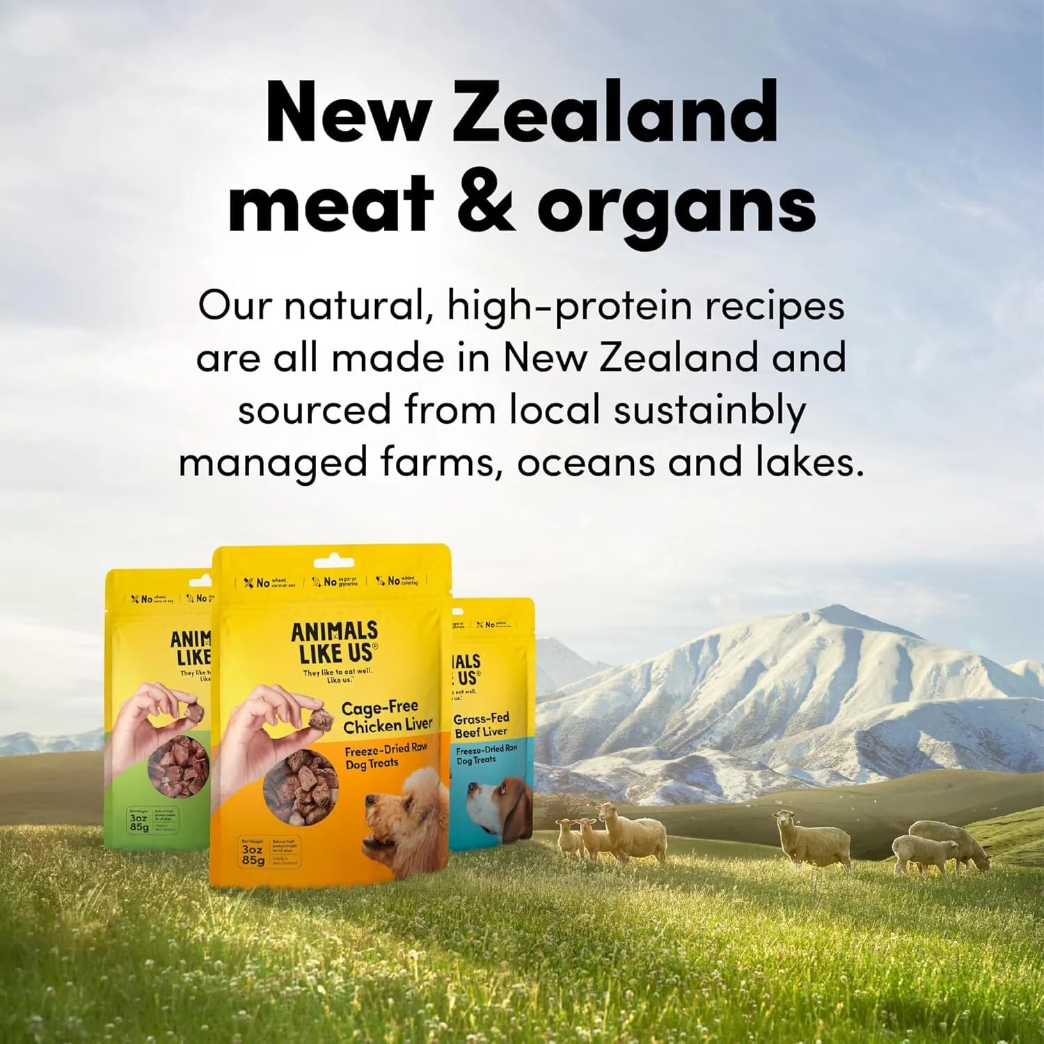 Animals Like Us Grass-Fed Lamb Tripe Freeze-Dried Raw Dog Treats - 2 Oz - Image 2