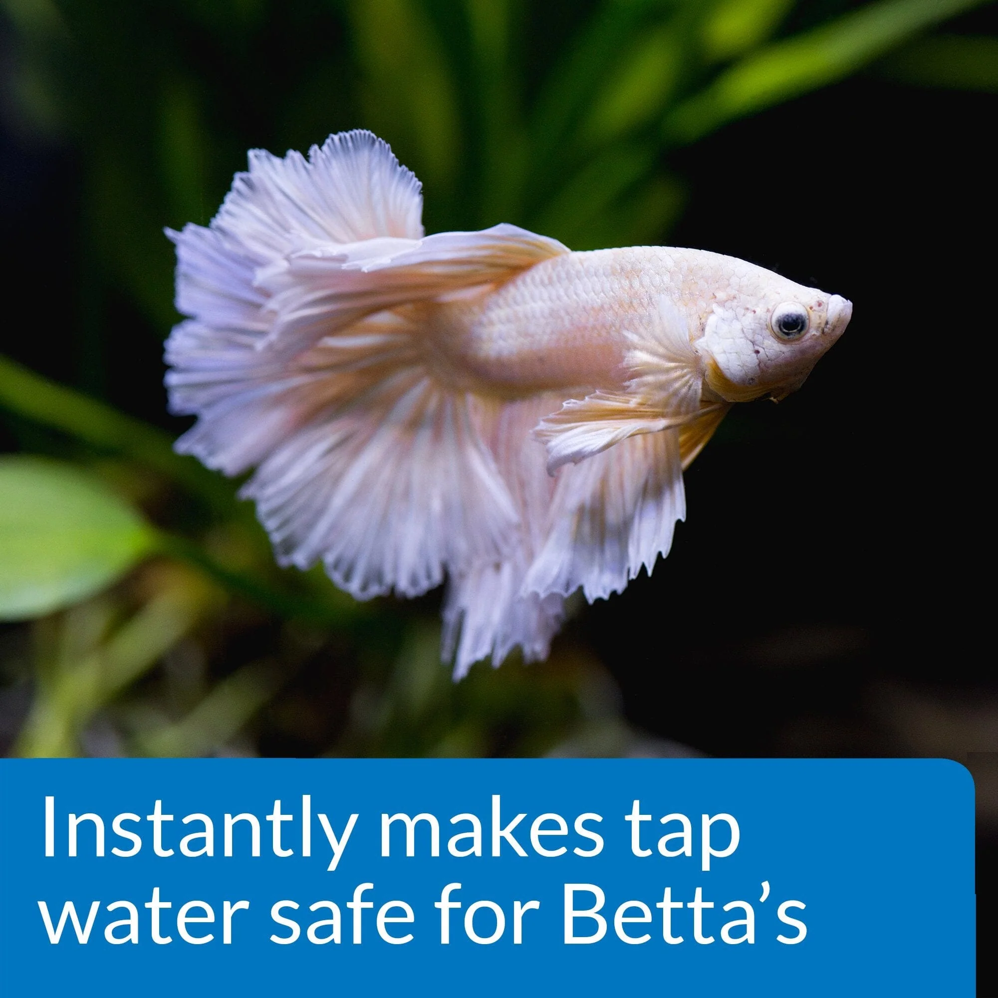 API Betta Water Conditioner Aquarium Water Conditioner - 1.7 Oz - Image 3