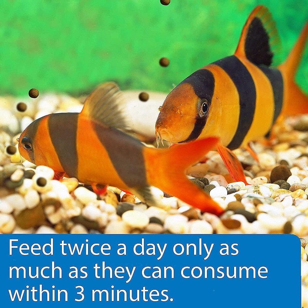 API Bottom Feeder Freeze-Dried Shrimp Pellets Fish Food with Squid - Image 4
