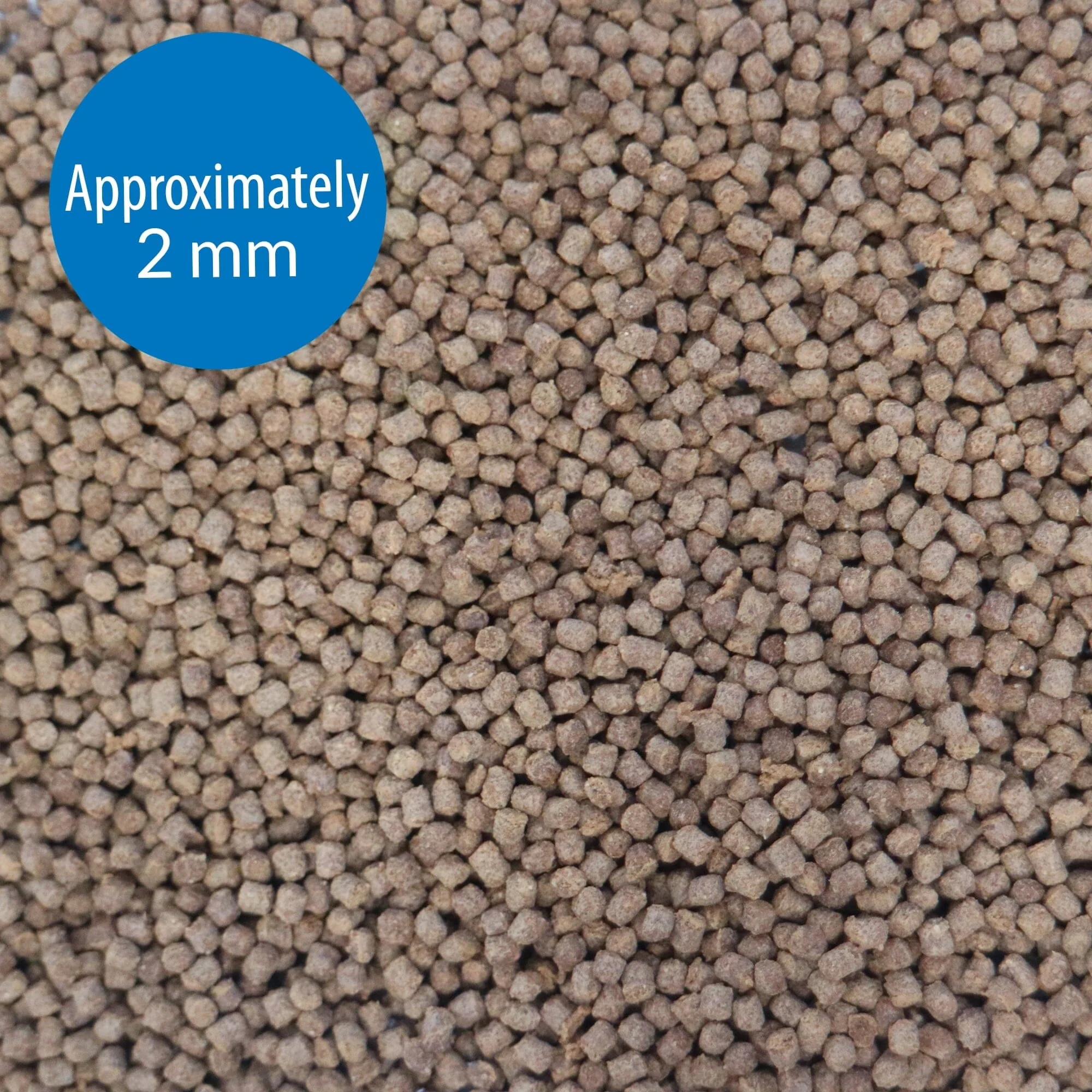 API Freeze-Dried Floating Pellets Betta Freshwater Fish Food - .78 Oz - Image 4