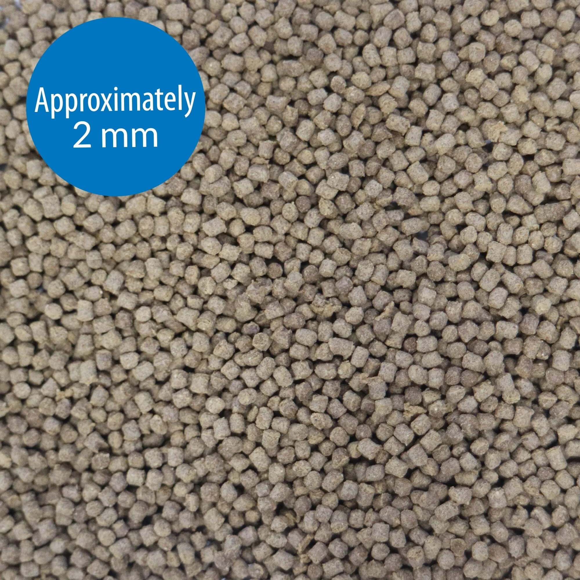 API Goldfish Pellets Freshwater Fish Food - Image 4