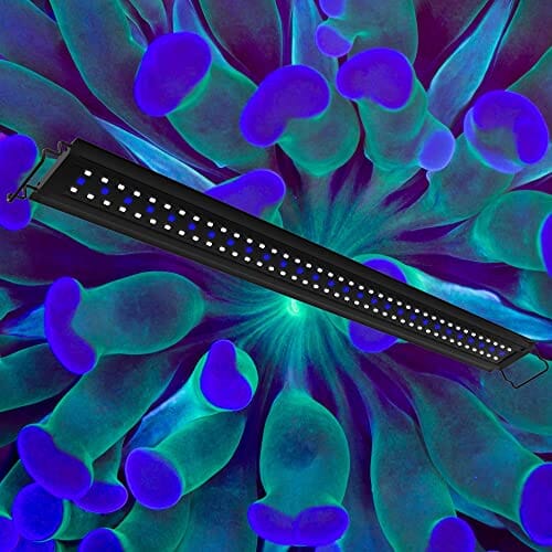 Aquatop SkyAqua Pro LED Aquarium Light with Remote 6500K - Image 20