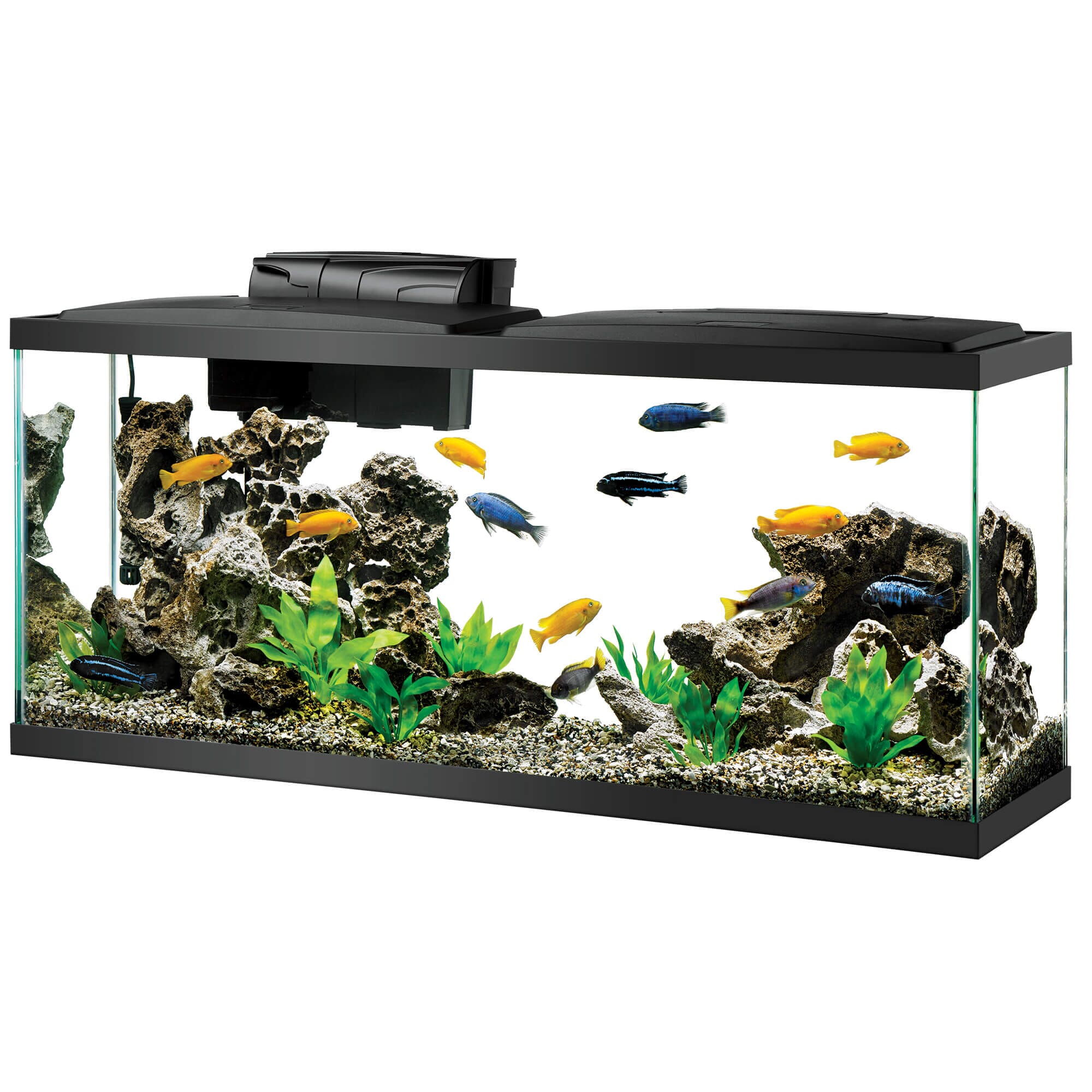 Aqueon Aquarium Starter Kit with LED Lighting - Size 55