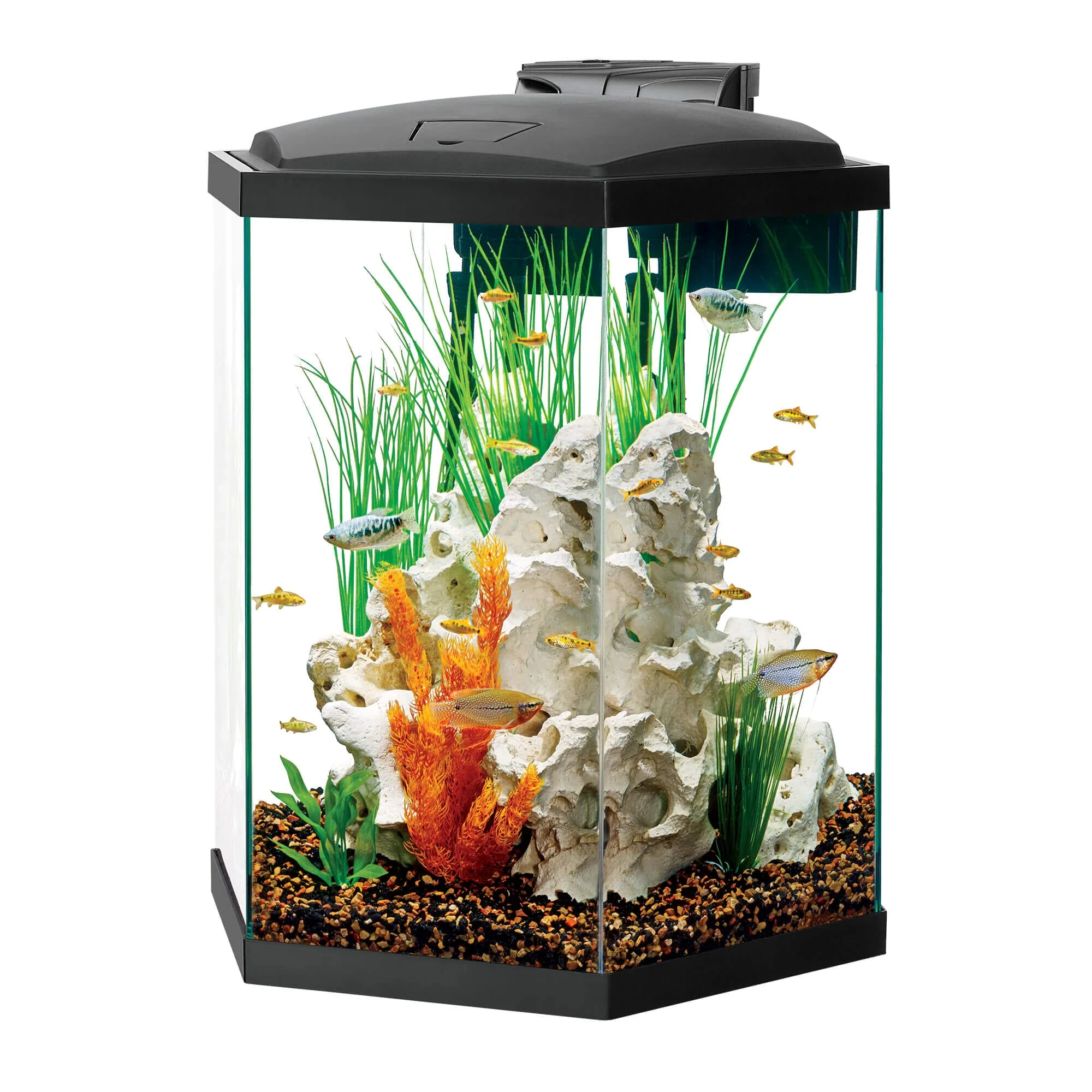 Aqueon Hexagon LED Kits - 35 gal