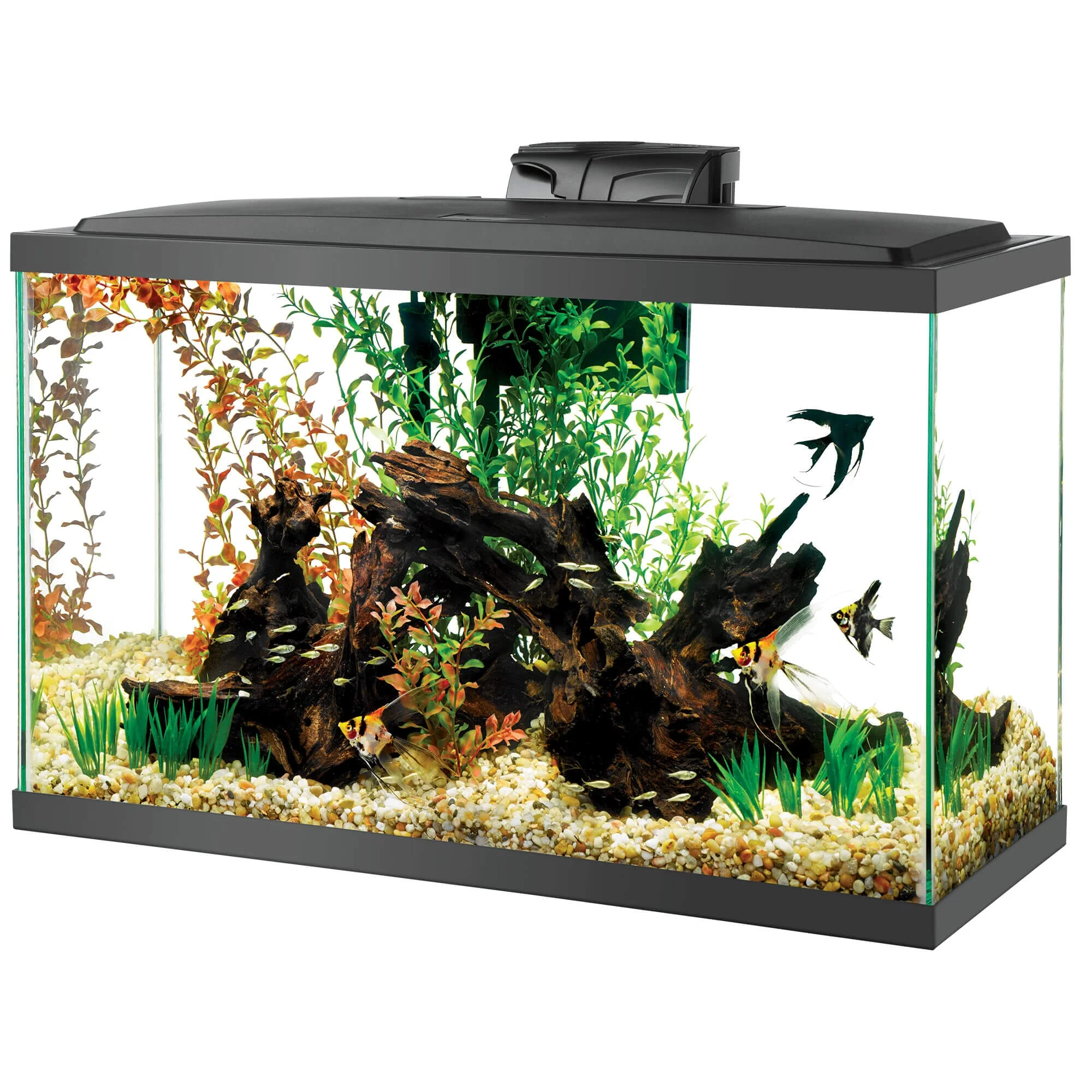 Aqueon LED Aquarium Kit - 29gal