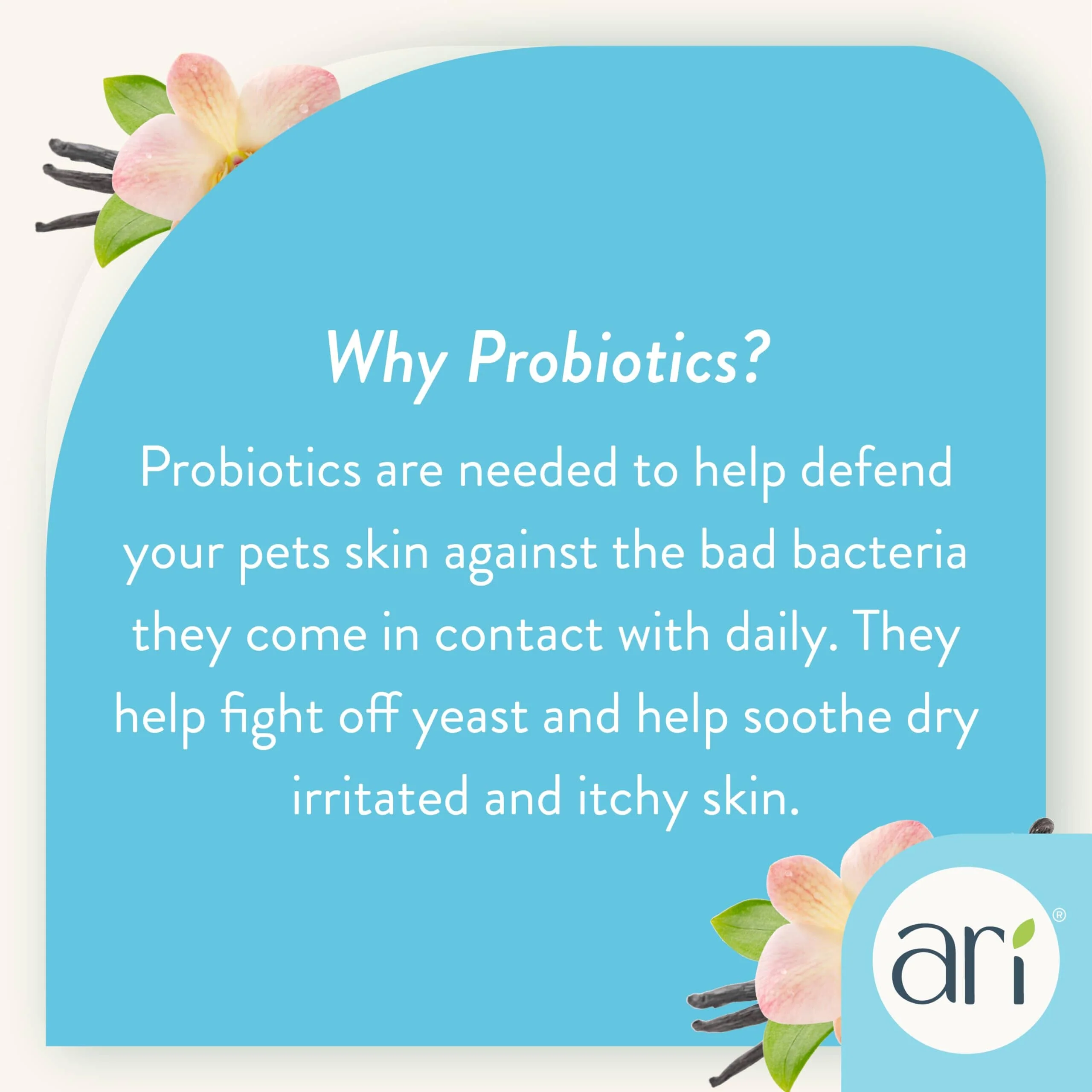 ARI Probiotics Vanilla and Almond Gentle and Clean Puppy Dog Shampoo - 16 Oz - Image 4