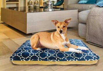 Arlee Bella OrthoLux Orthopedic Coconut Fur Mattress Dog Bed - Brown - Image 2