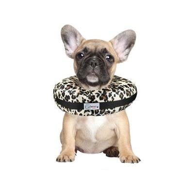 Arlee Comfurt Recovery Dog Collar - Image 4