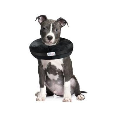 Arlee Comfurt Recovery Dog Collar - Image 5