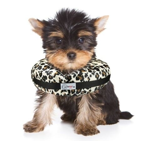 Arlee Comfurt Recovery Dog Collar - Image 6