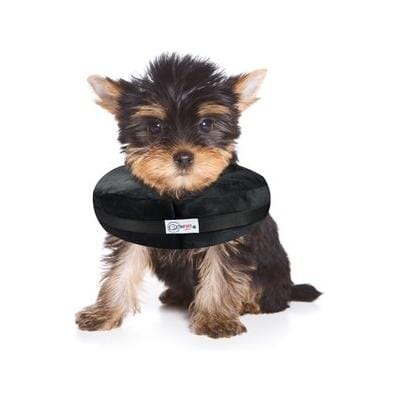 Arlee Comfurt Recovery Dog Collar - Image 7