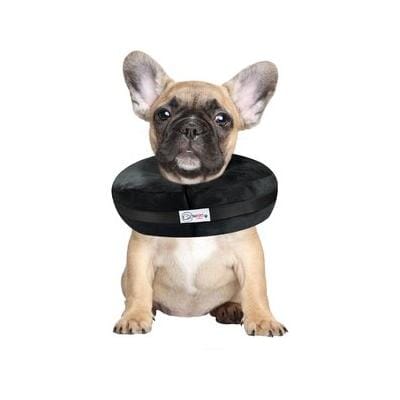 Arlee Comfurt Recovery Dog Collar - Image 8