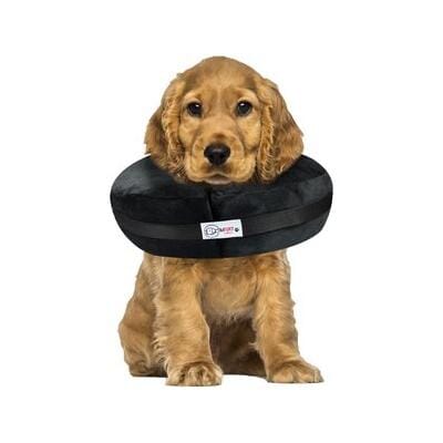 Arlee Comfurt Recovery Dog Collar - Image 9