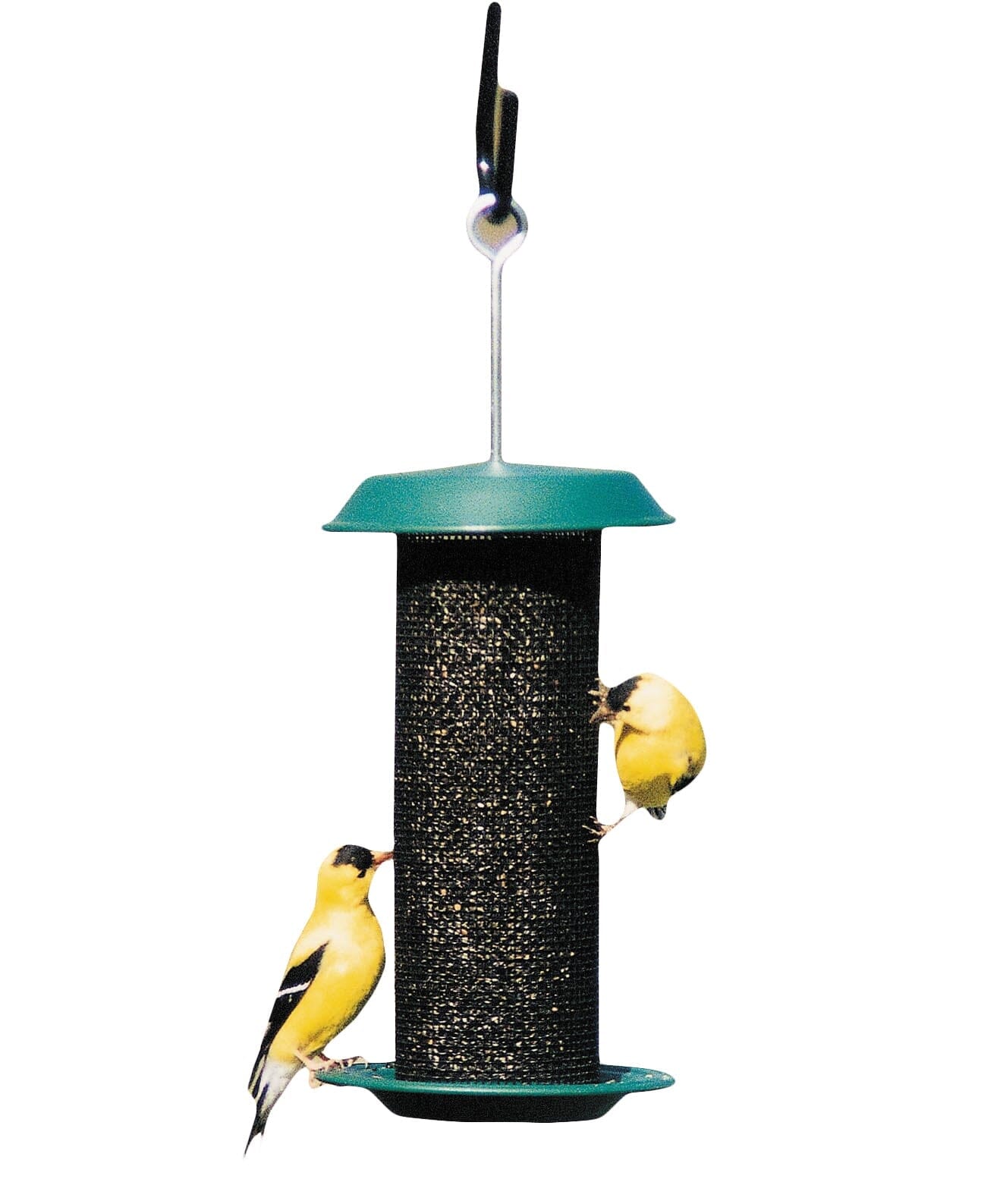 Audubon Mini Magnum Metal Thistle Seed Screen Wild Bird Feeder - Green - .75 Lbs Cap