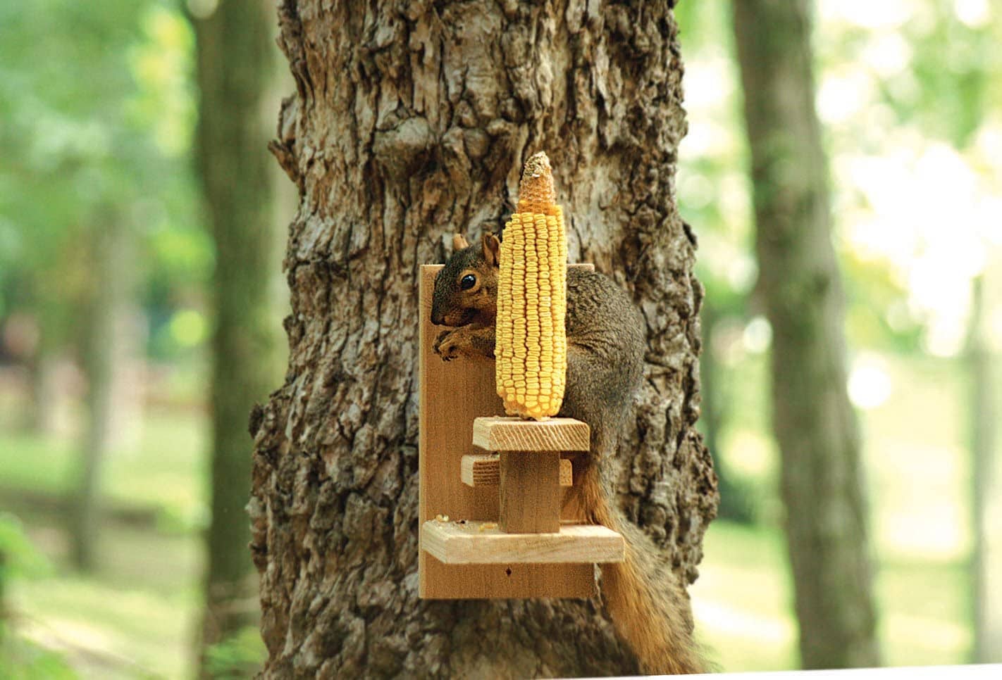 Audubon Squirrel Chair Feeder - Tan - 1 Ear Corn - Image 3