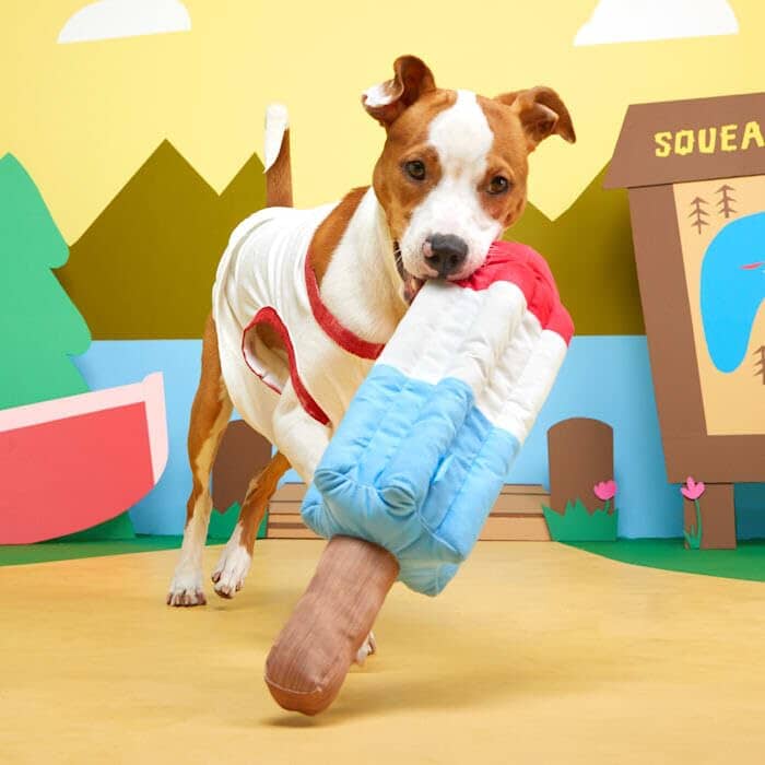 Bark Box Rocket Pupsicle Squeak and Plush Dog Toy - Image 4