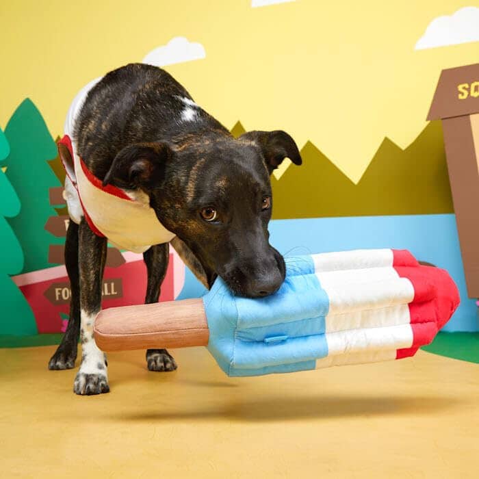 Bark Box Rocket Pupsicle Squeak and Plush Dog Toy - Image 5