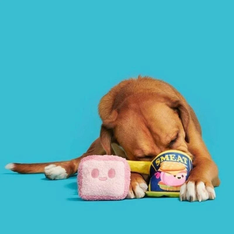 Bark Box Squeakadelic Magic and Mystery Smell Tune Disc Dog Toy - Image 2