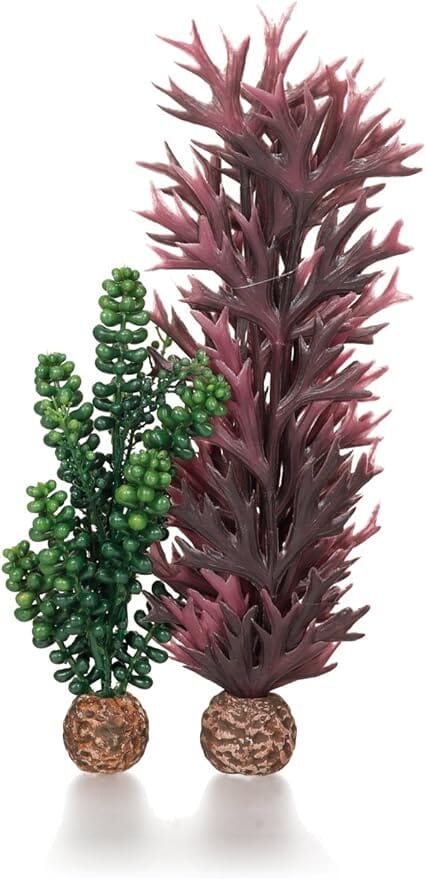 Biorb Seapearls and Kelp Aquarium Ornament - Medium