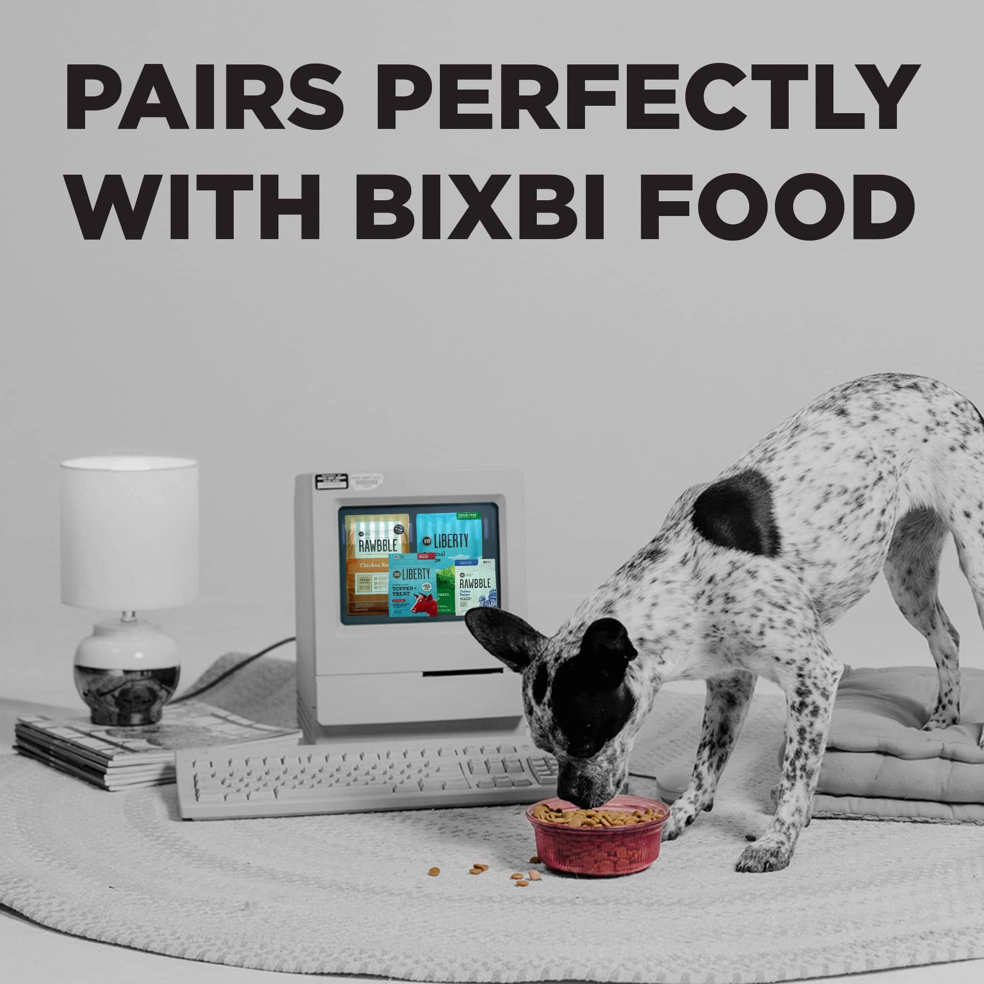 Bixbi Pocket Trainers Salmon Soft and Chewy Training Dog Treats - 6 Oz - Image 5
