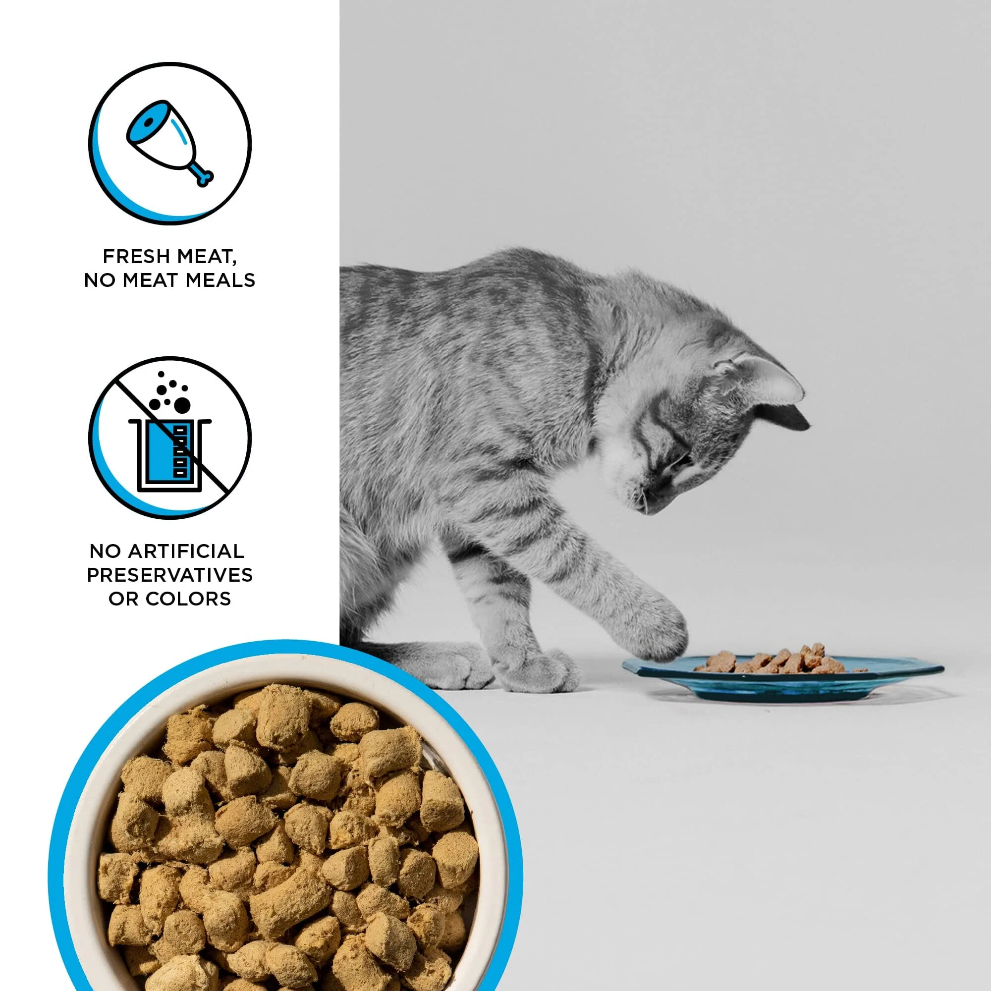 Bixbi Rawbble Chicken and Salmon Freeze-Dried Cat Food - 3.5 Oz - Image 2