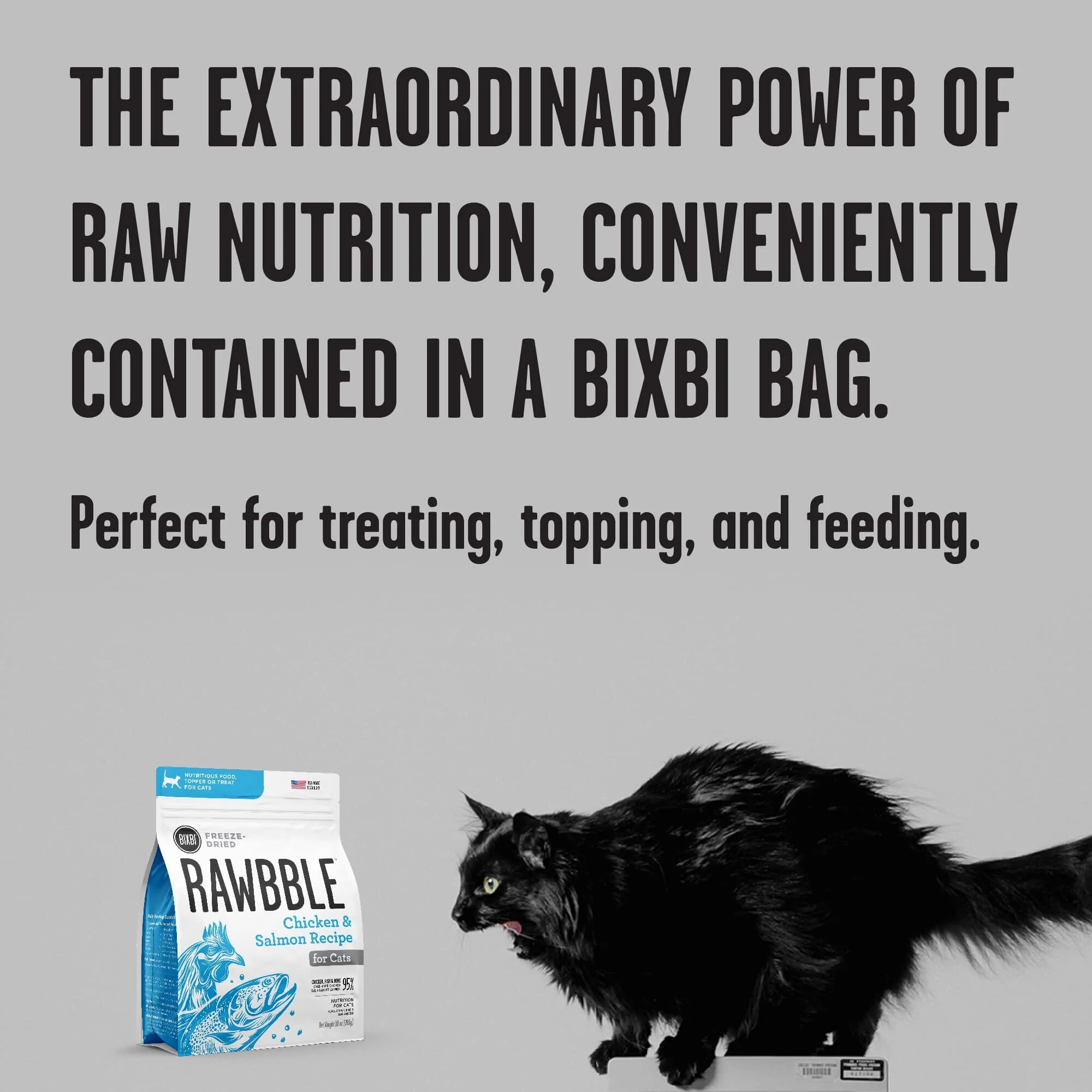 Bixbi Rawbble Chicken and Salmon Freeze-Dried Cat Food - 3.5 Oz - Image 3