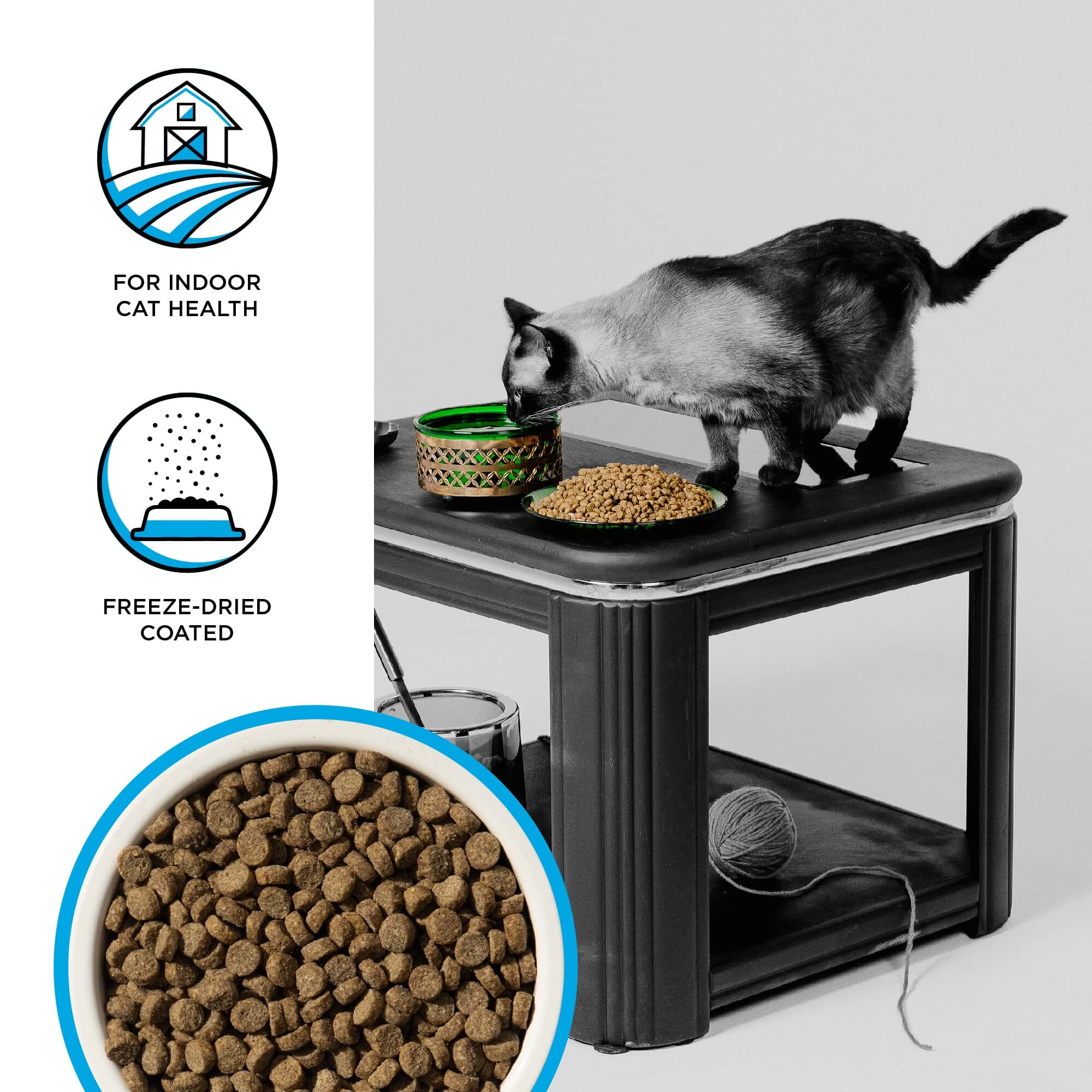 Bixbi Rawbble Chicken and Salmon Indoor Dry Cat Food - 3 Lbs - Image 2