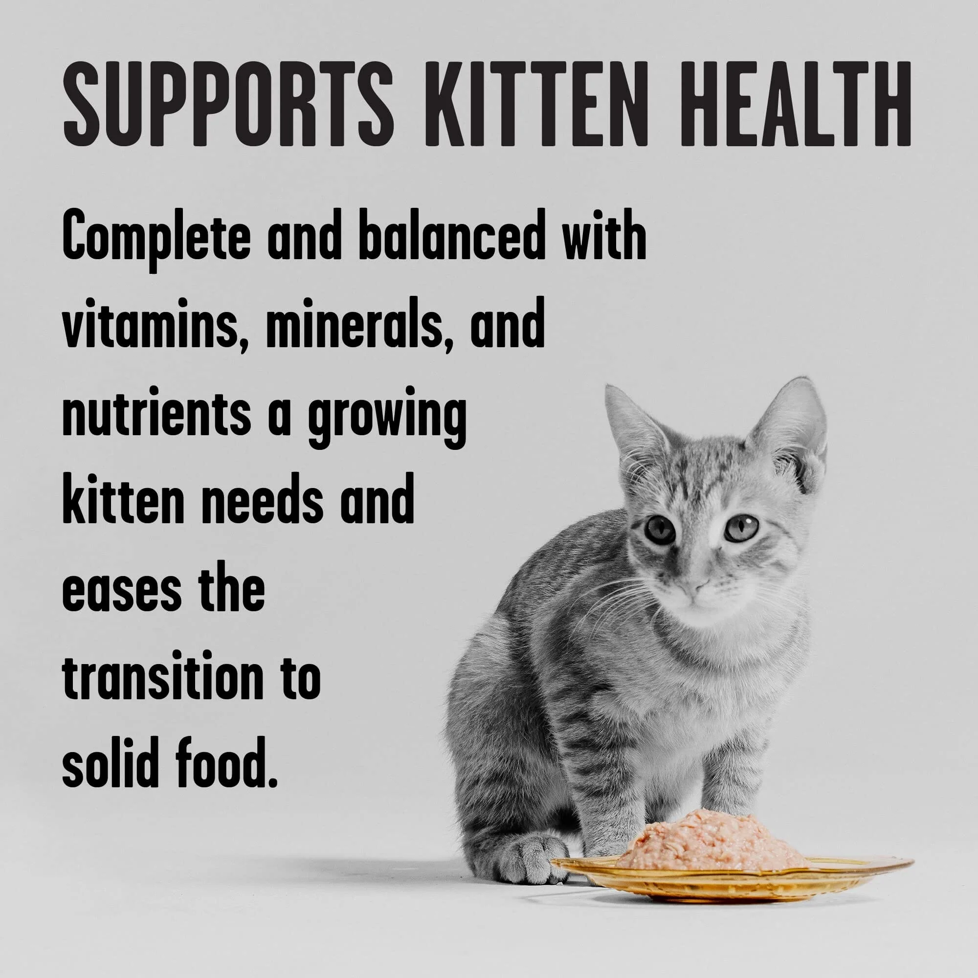 Bixbi Rawbble Chicken Pate Kitten Canned Cat Food - 5 Oz - Case of 24 - Image 3