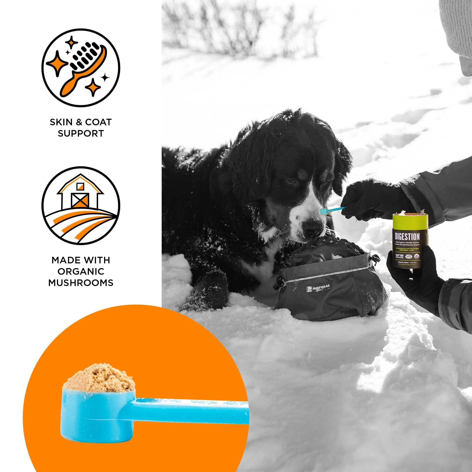 Bixbi Skin and Coat Powder Mushroom Cat and Dog Supplements - 60G - Image 2