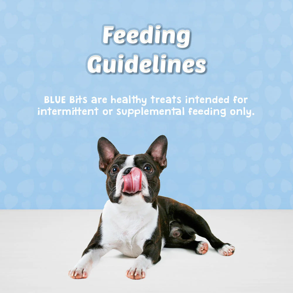 Blue Buffalo Bits Tempting Turkey Natural Soft-Moist Training Treats - Image 5