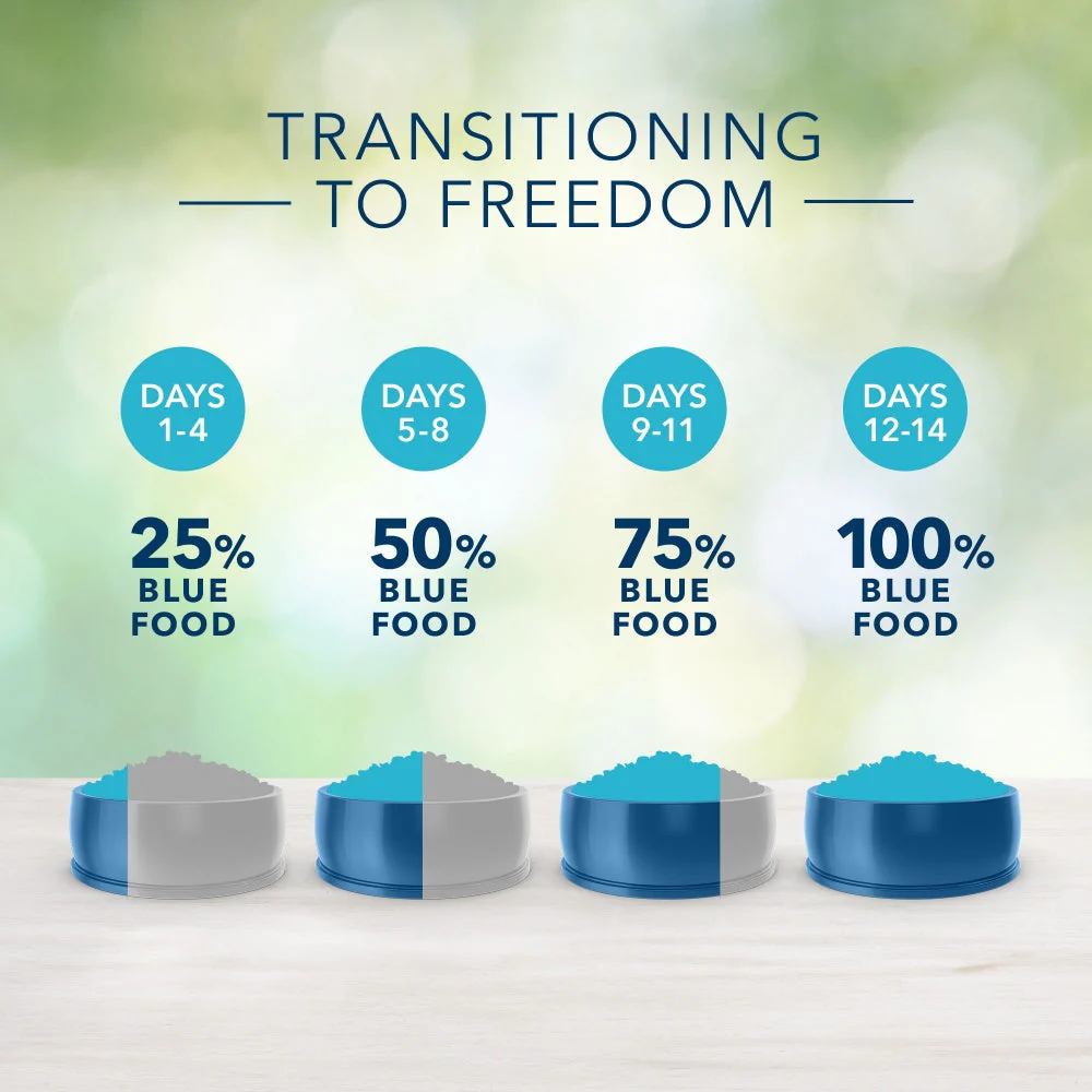 Blue Buffalo Freedom Adult Lamb Recipe Dry Dog Food - Image 3