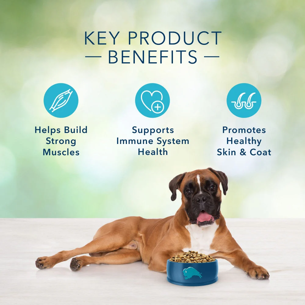 Blue Buffalo Freedom Adult Lamb Recipe Dry Dog Food - Image 4