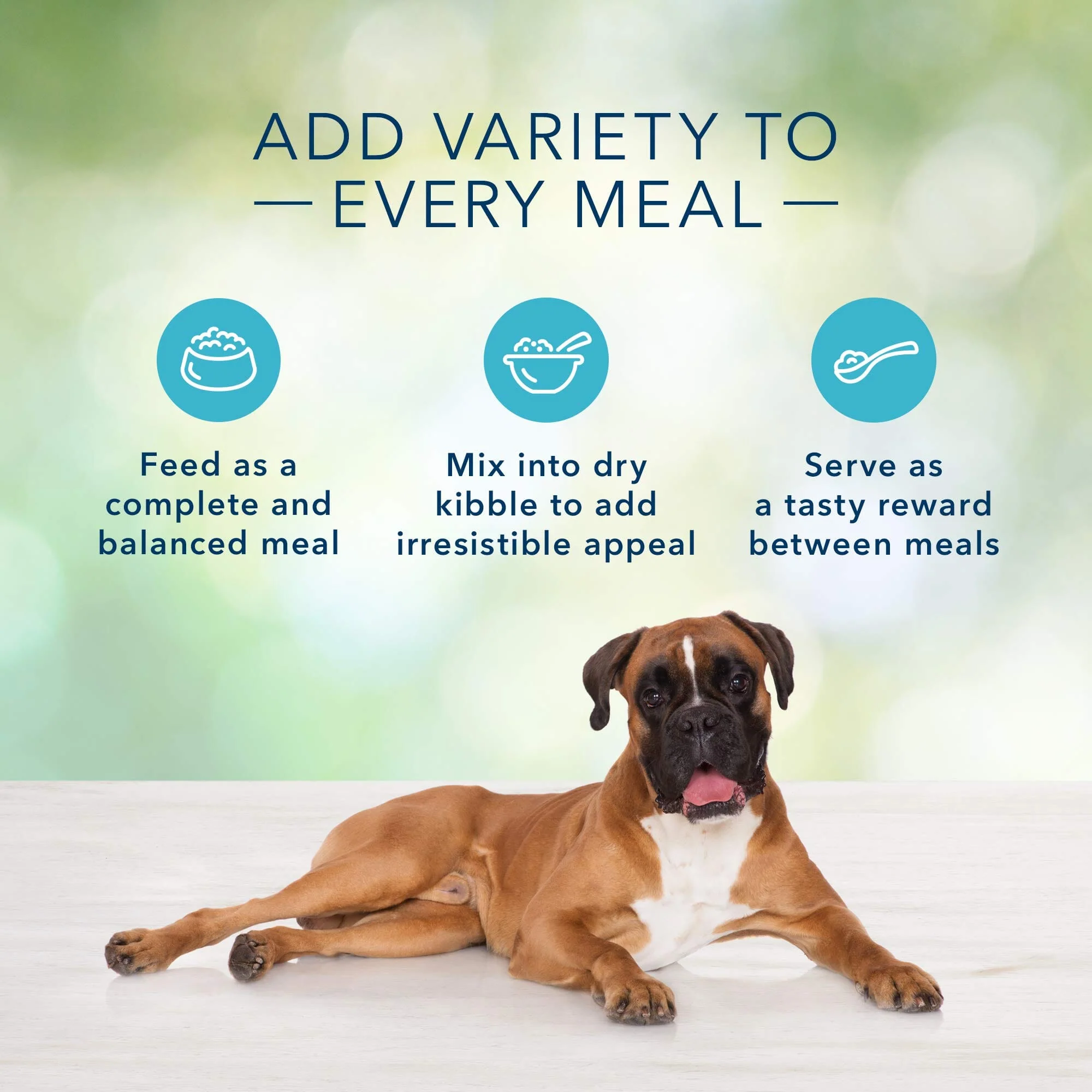 Blue Buffalo Freedom Grain-Free Lamb Adult Canned Dog Food - 12.5 Oz - Case of 12 - Image 4