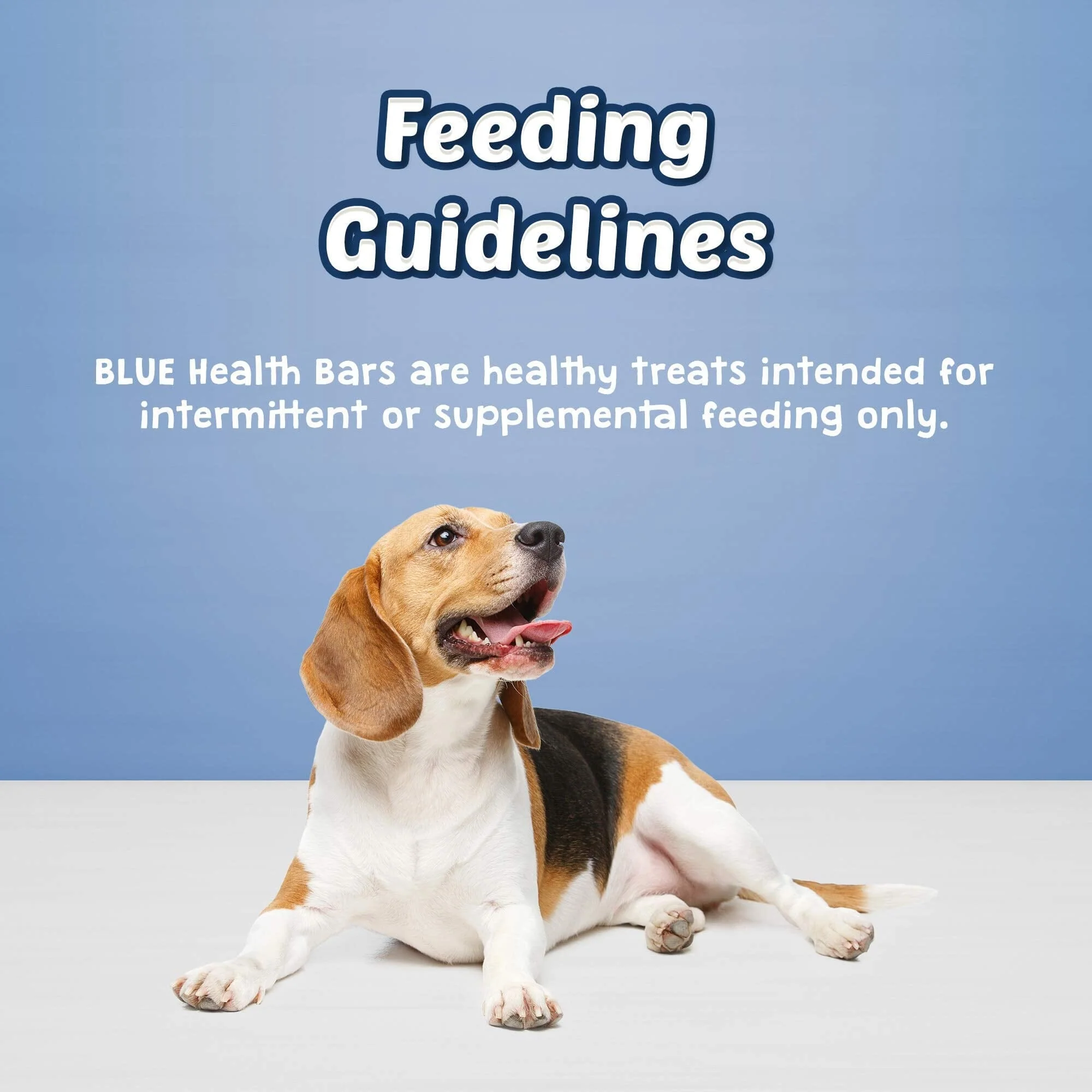 Blue Buffalo Health Bars Pumpkin and Cinnamon Dog Biscuits Treats - 16 Oz - Image 5