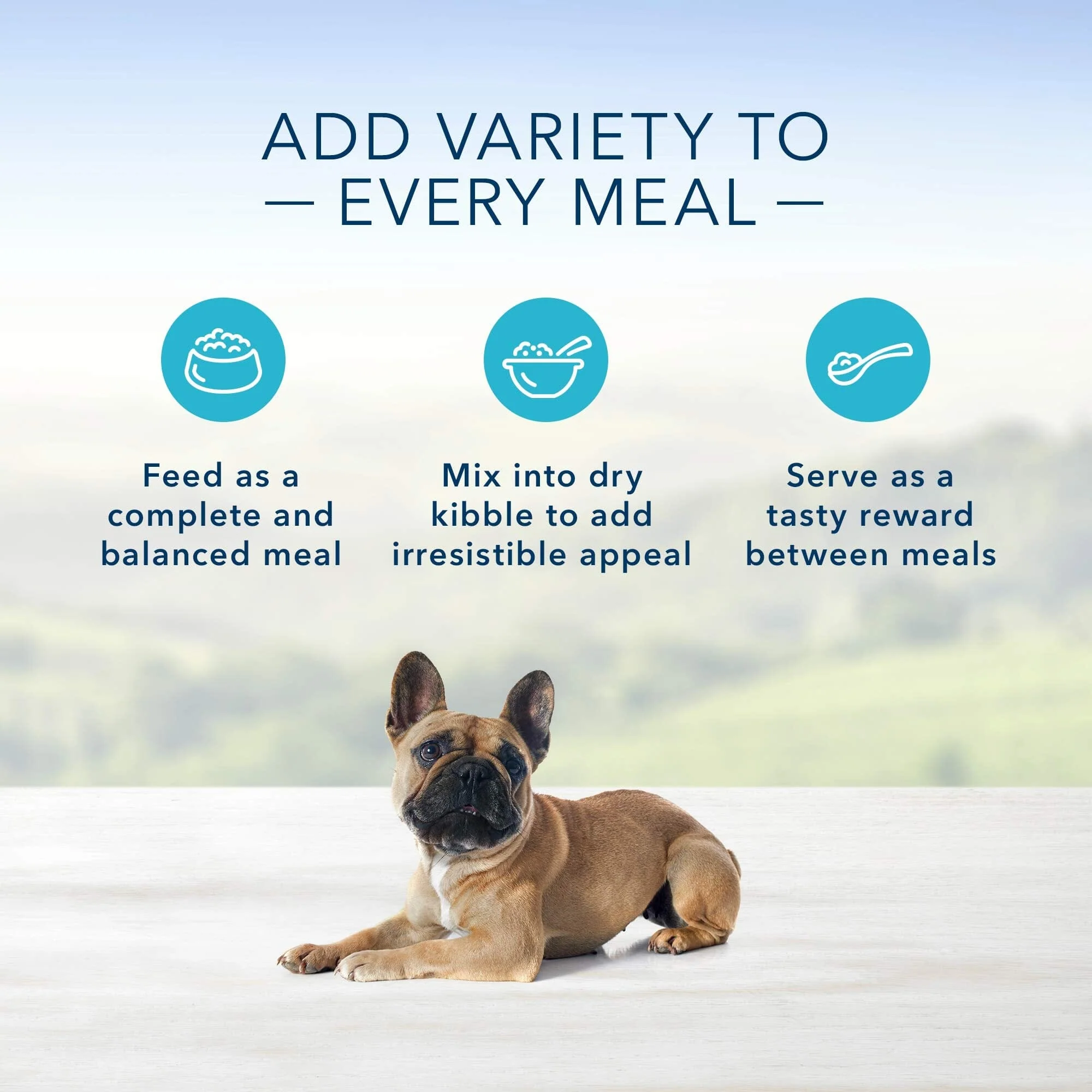 Blue Buffalo Homestyle Recipe Lamb Small-Breed Canned Dog Food - 5.5 Oz - Case of 24 - Image 5