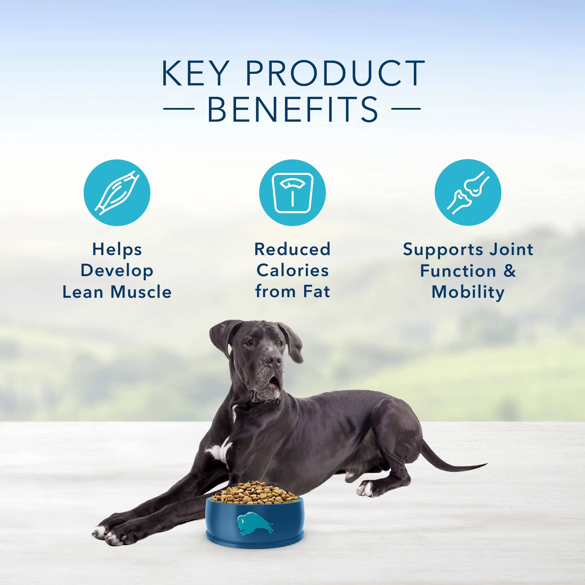 Blue Buffalo Life Protection Formula Adult Large-Breed Healthy Weight Chicken and Brown Rice Dry Dog Food - 30 Lbs - Image 5
