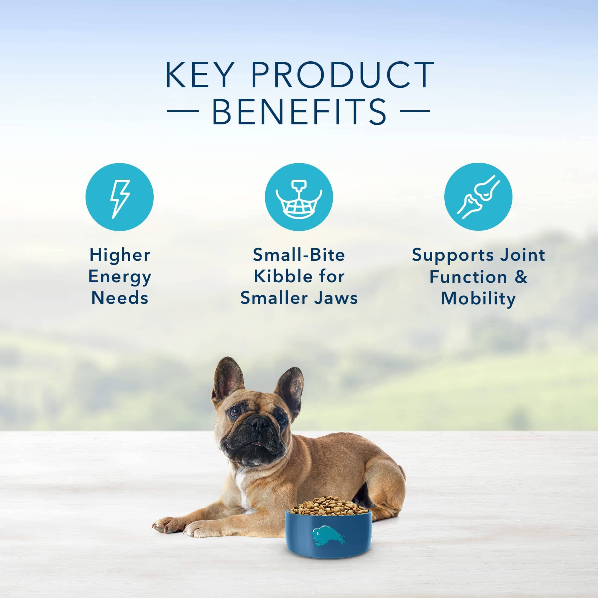 Blue Buffalo Life Protection Formula Adult Small-Breed Chicken and Brown Rice Dry Dog Food - Image 5