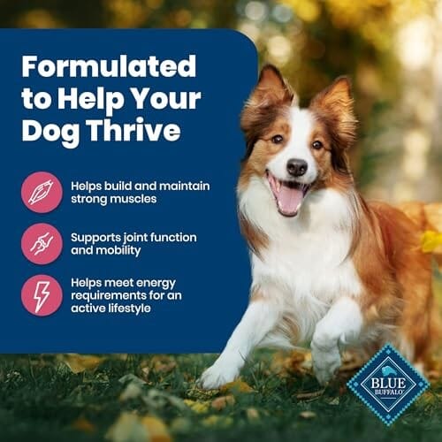 Blue Buffalo Life Protection Formula Salmon and Brown Rice Adult Dry Dog Food - Image 5