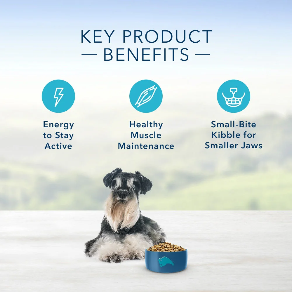 Blue Buffalo Life Protection Natural Chicken & Brown Rice Recipe Small Breed Senior Dry Dog Food - Image 5