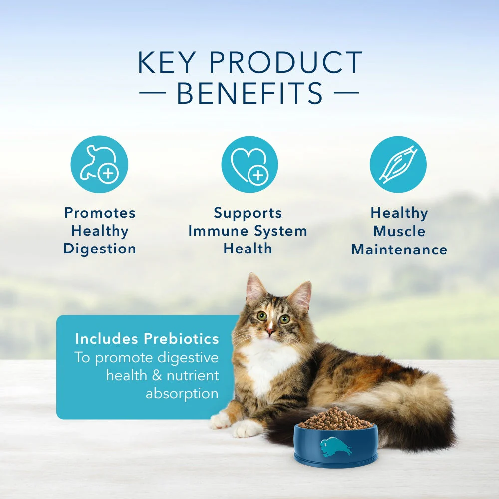 Blue Buffalo Sensitive Stomach Natural Chicken & Brown Rice Dry Cat Food - Image 3