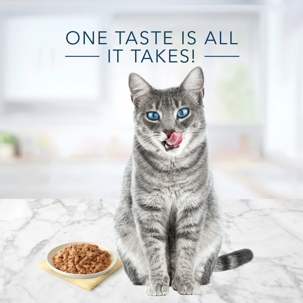 Blue Buffalo Tastefuls Natural Flaked Fish & Shrimp Entree in Gravy Wet Cat Food - Image 6