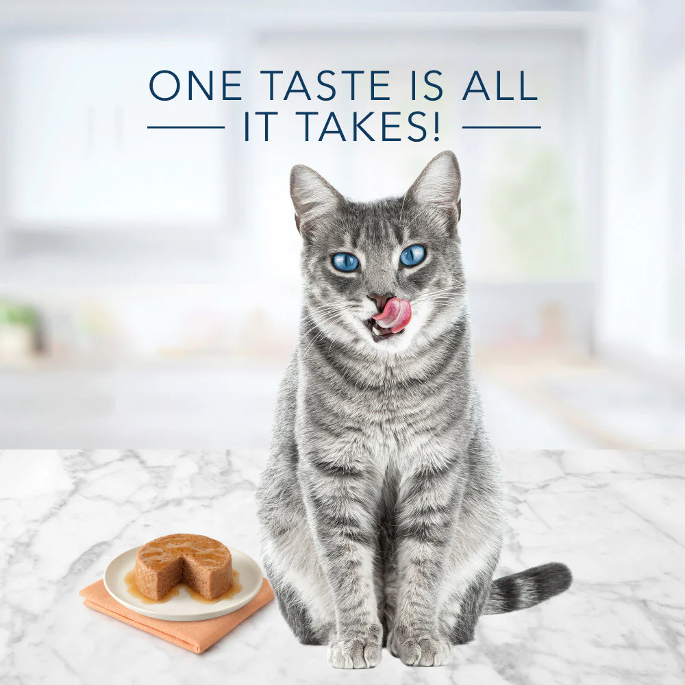 Blue Buffalo Tastefuls Natural Pate Salmon Entree Wet Cat Food - Image 3