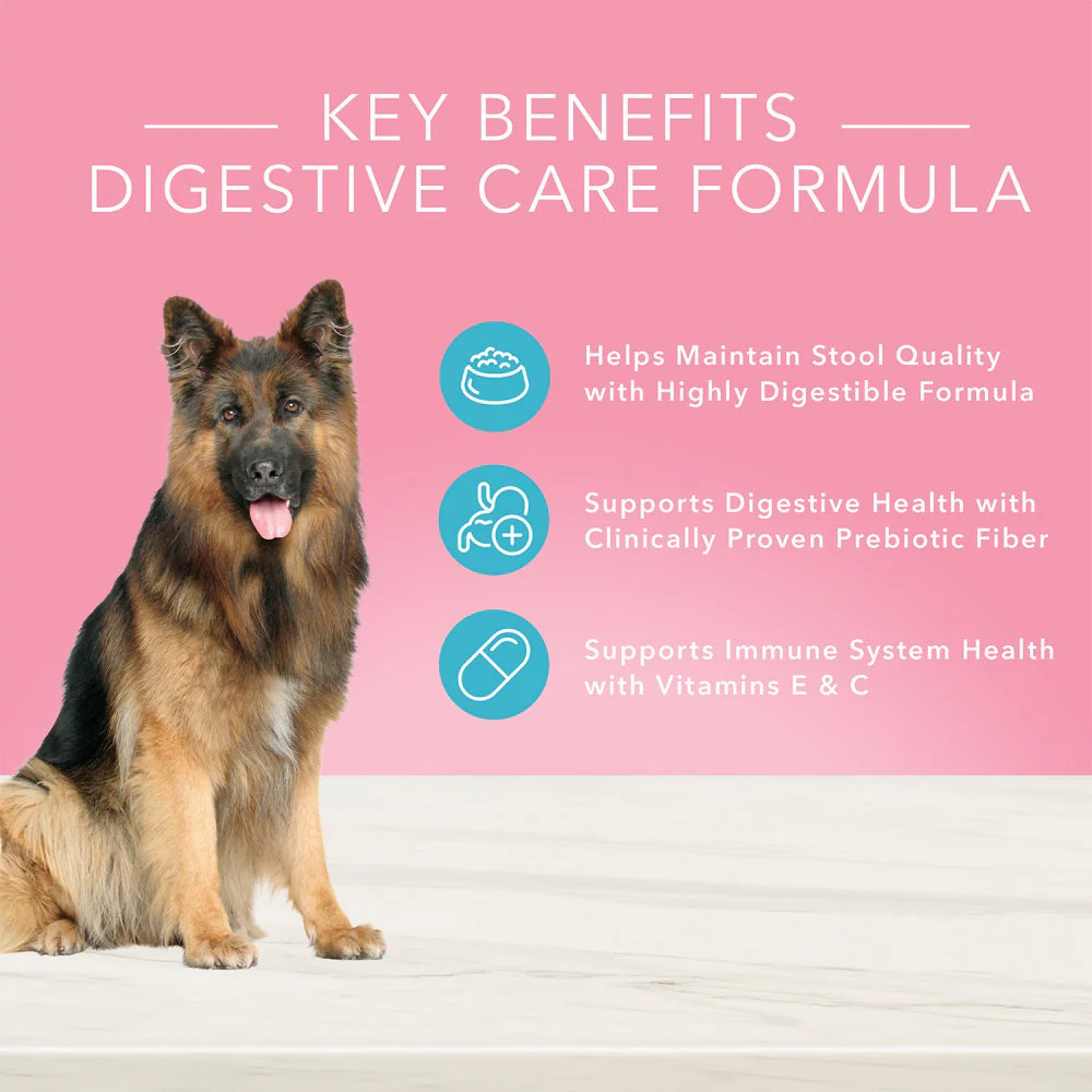 Blue Buffalo True Solutions Blissful Belly Natural Digestive Care Chicken Recipe Adult Wet Dog Food - Image 5