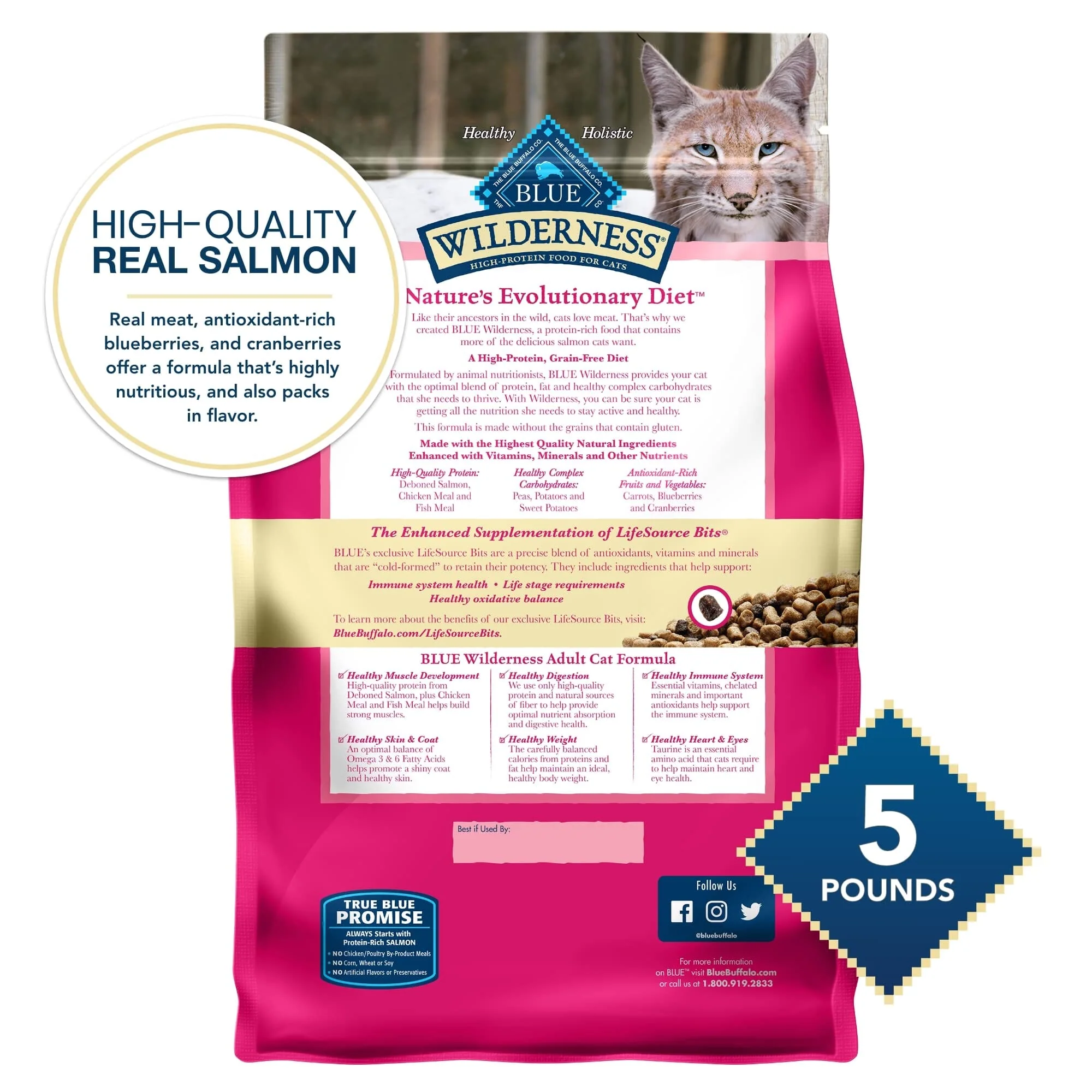 Blue Buffalo Wilderness Adult High-Protein Salmon Dry Cat Food - Image 6