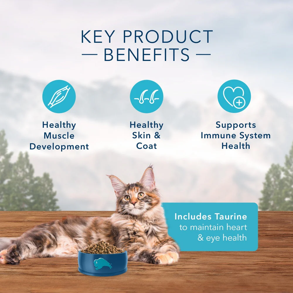 Blue Buffalo Wilderness Grain Free Salmon High Protein Recipe Dry Cat Food - Image 4