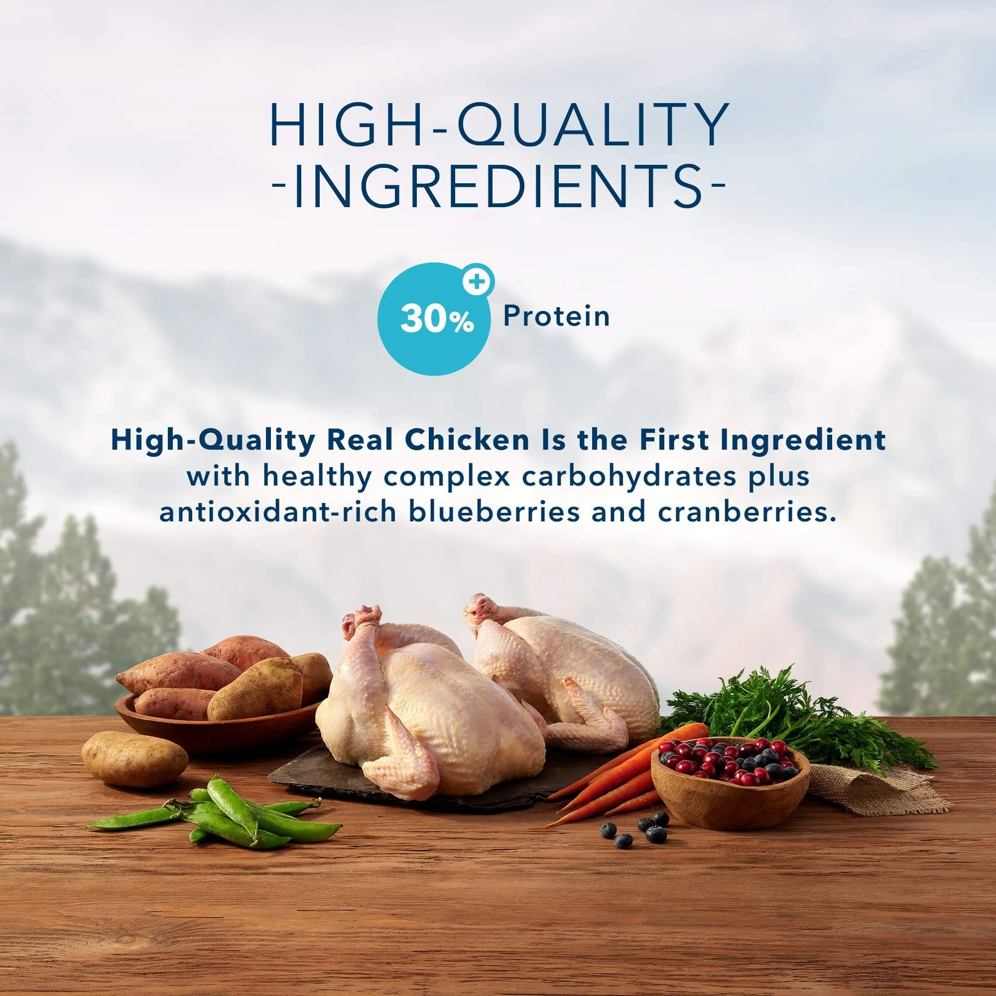 Blue Buffalo Wilderness Indoor Adult High-Protein Chicken Dry Cat Food - 2 Lbs - Image 3