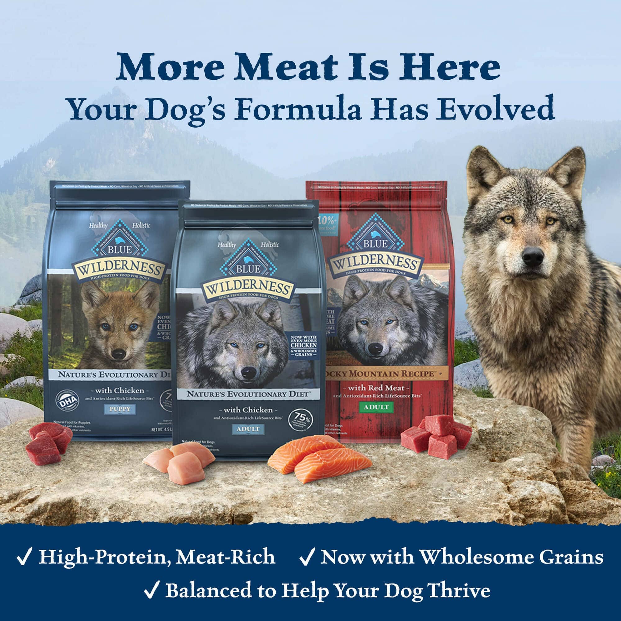 Blue Buffalo Wilderness Large-Breed Puppy High-Protein Chicken with Wholesome Grains Dry Dog Food - 28 Lbs - Image 2
