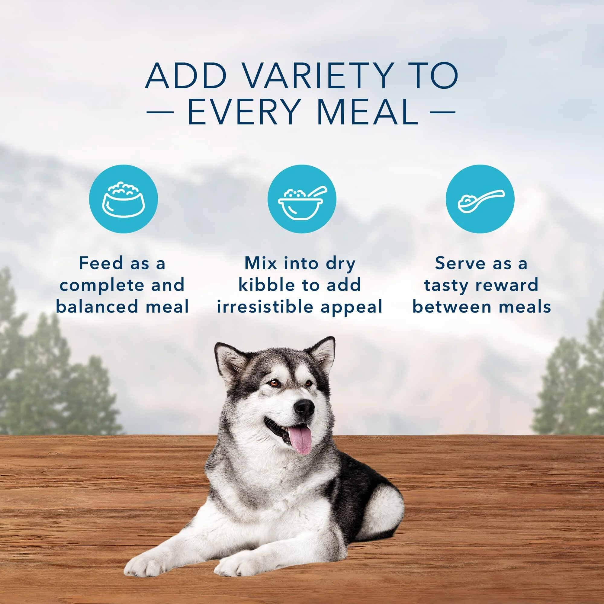 Blue Buffalo Wilderness Snake River Dry Dog Food - 12.5 Oz - Case of 12 - Image 5