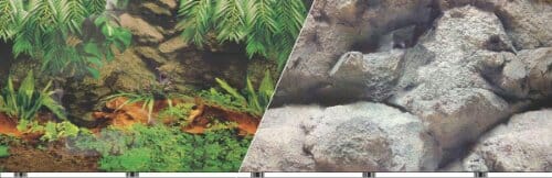 Blue Ribbon Double-Sided Rainforest/Boulder Aquarium Background - 12 In X 50 Ft