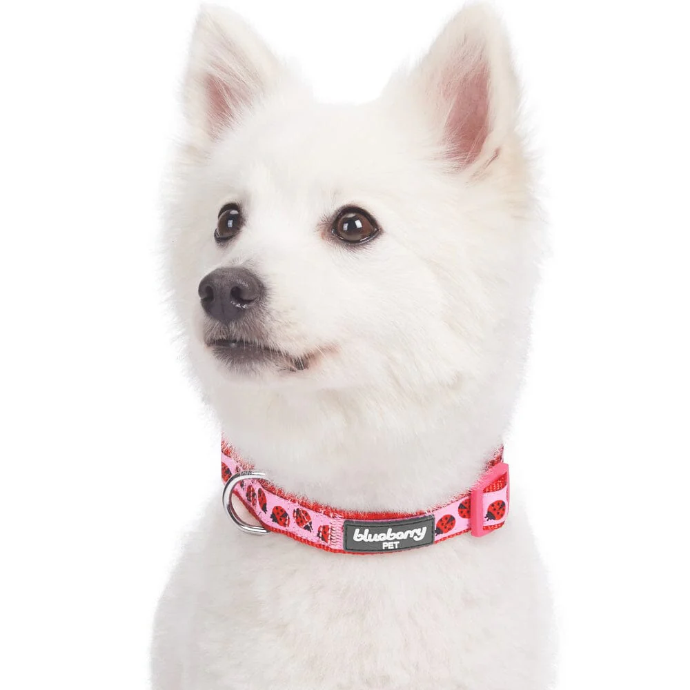 Blueberry Pet Ladybug Designer Basic Dog Collar - Image 2